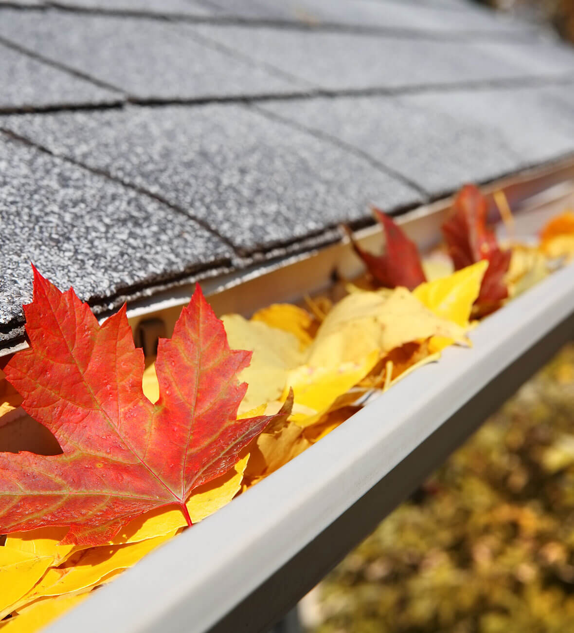 Gutter Cleaning Cleaning Out Gutters North Metro Softwash